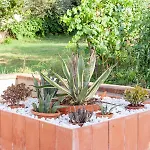 Διαμέρισμα Casa Dei Fiori *