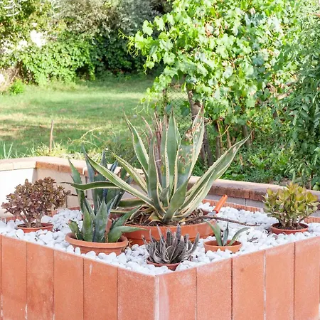 Apartmán Casa Dei Fiori *