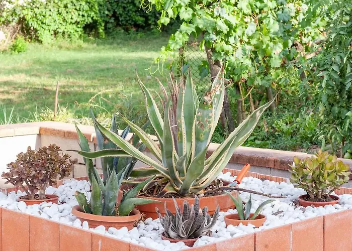 アパート Casa Dei Fiori *